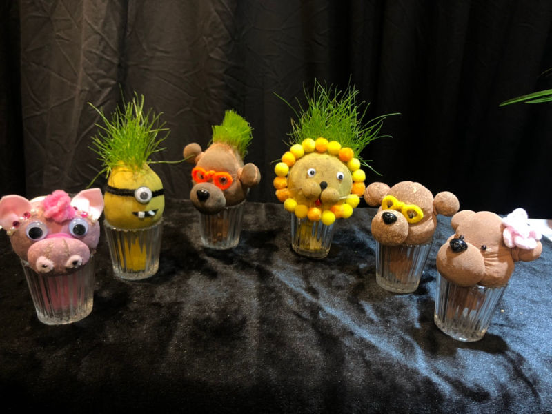 綠心靈養護學會-園藝治療