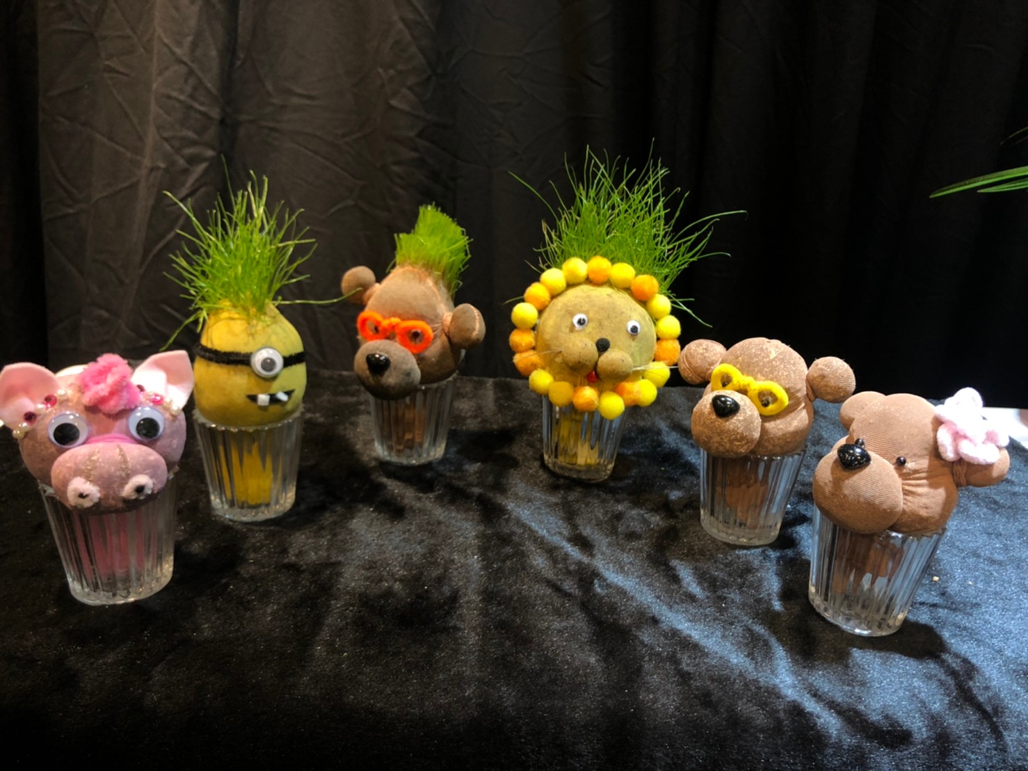 綠心靈養護學會-園藝治療