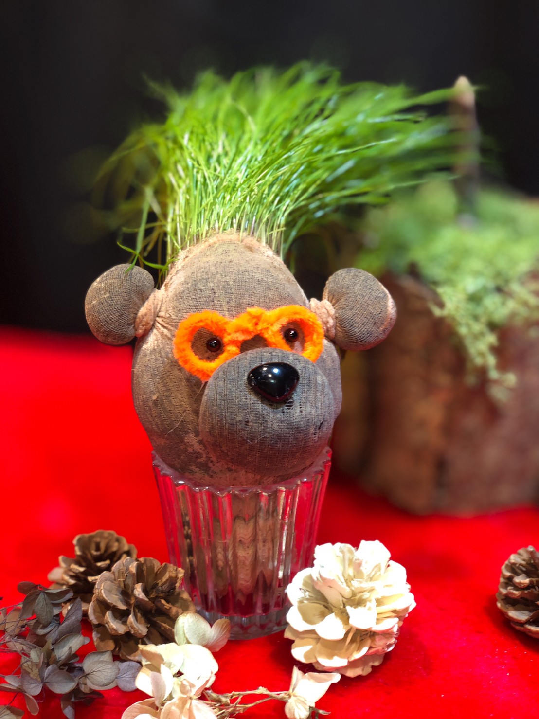 綠心靈 園藝治療