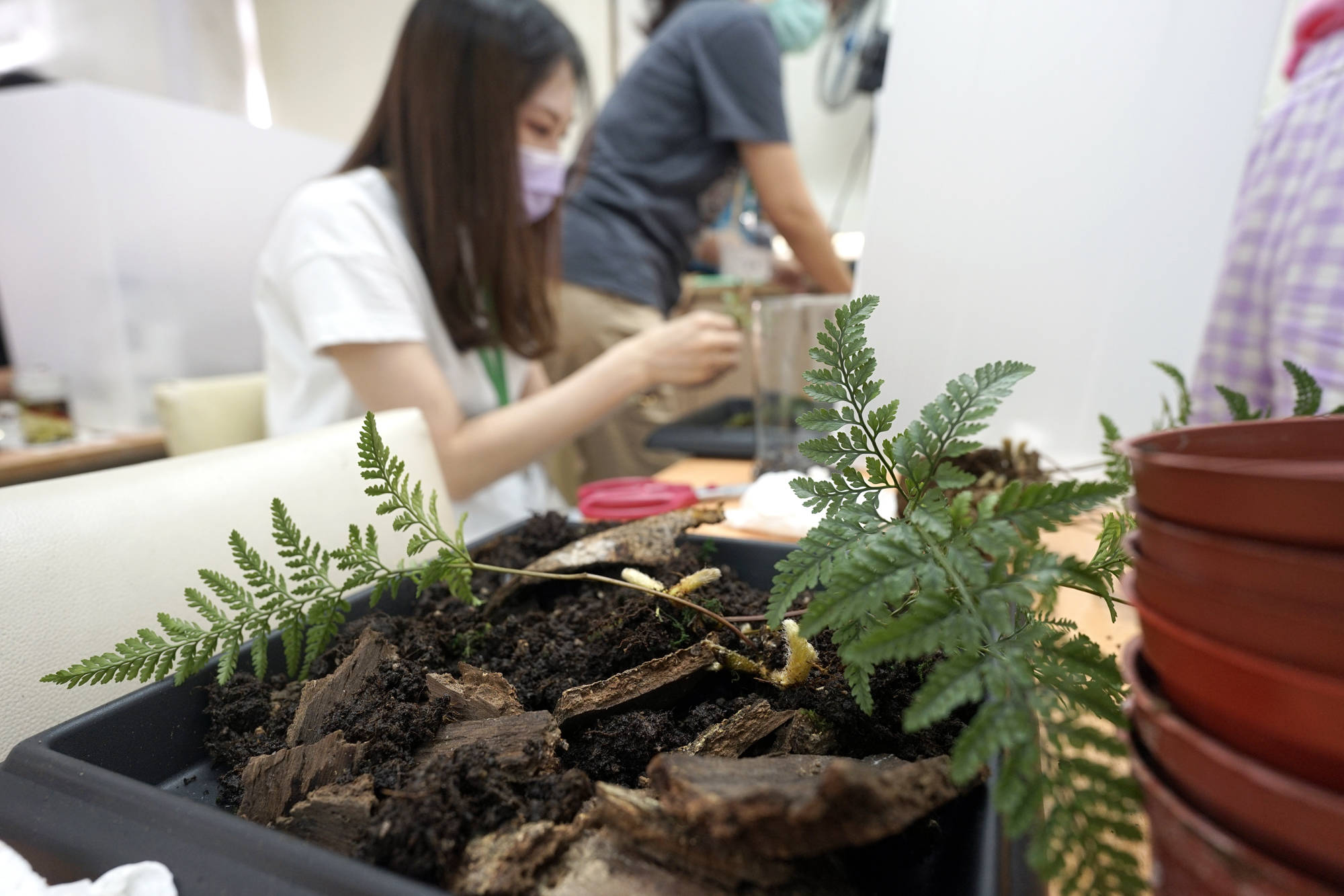 園藝治療植物療癒師綠心靈