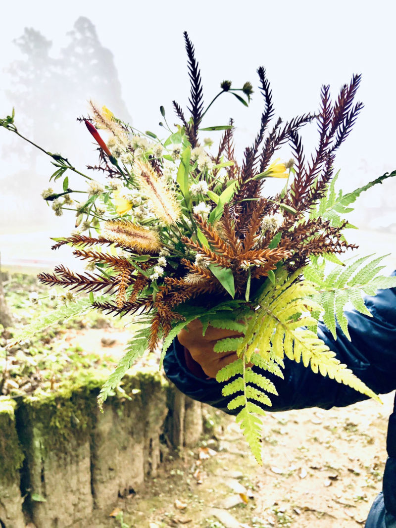 綠心靈養護學會-園藝治療師-野外花束