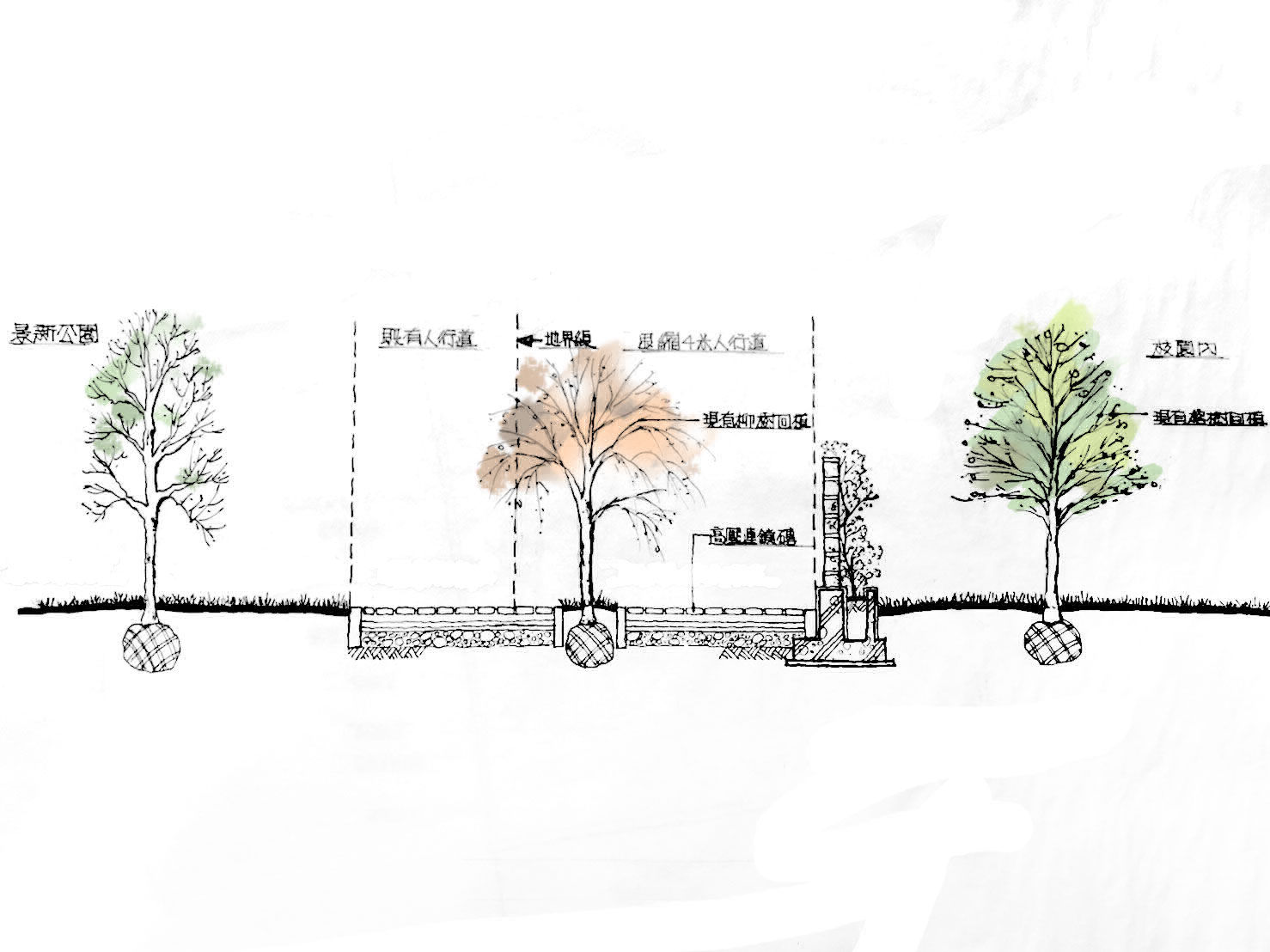 中華綠心靈養護學會