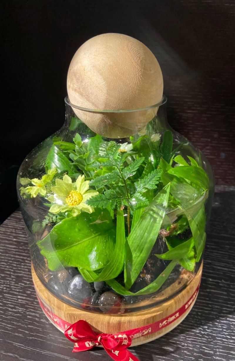 綠心靈養護學會-園藝治療-手作