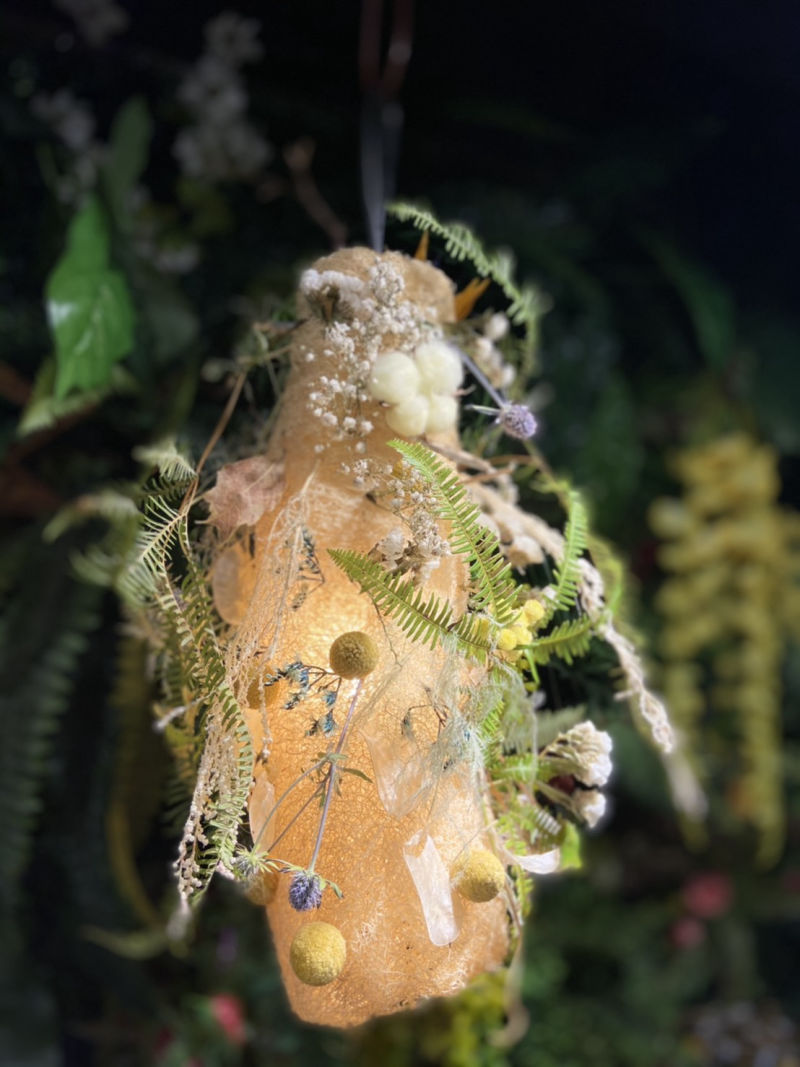 綠心靈養護學會 2022園藝治療