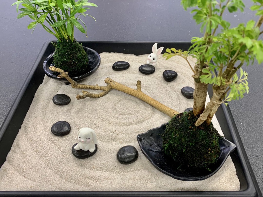 園藝治療作品，療癒系花園和康復性景觀