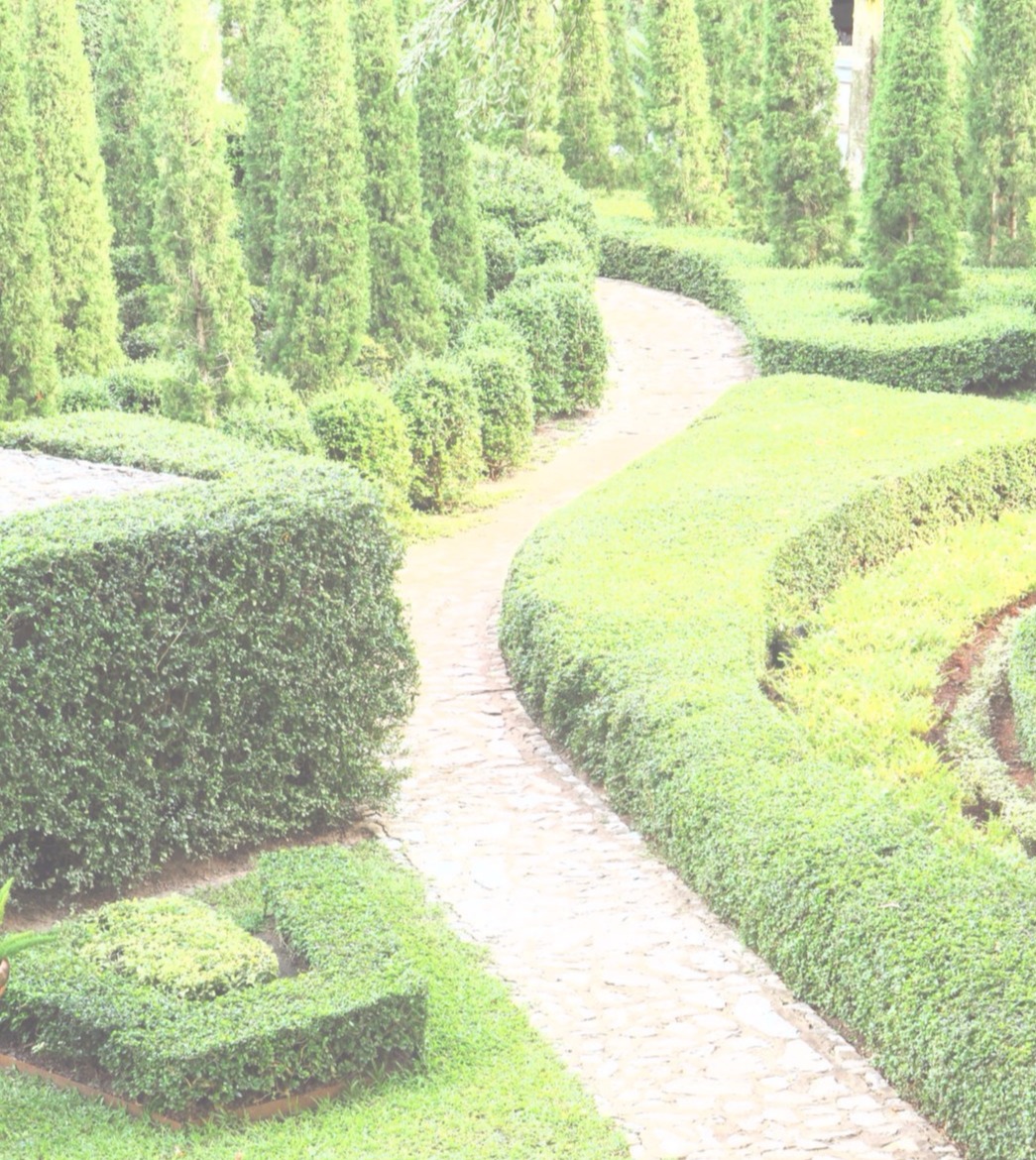 中華綠心靈養護學會